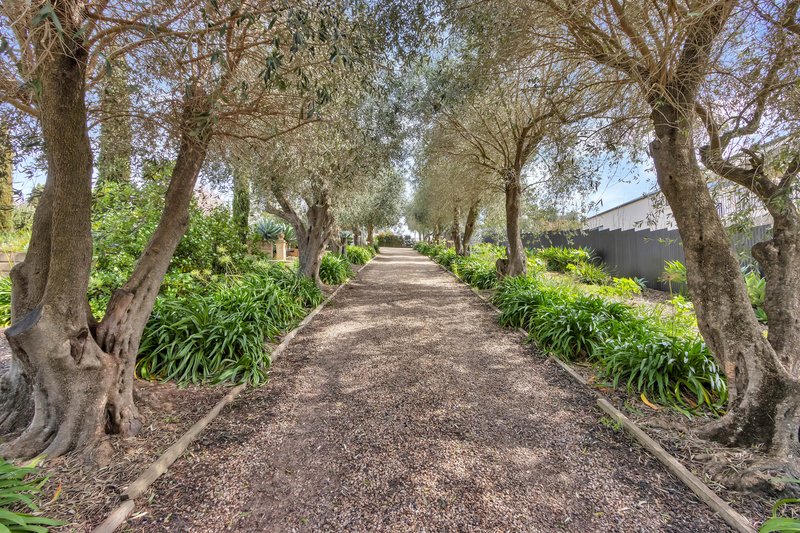 Photo - 6 Howard Street, Angaston SA 5353 - Image 5