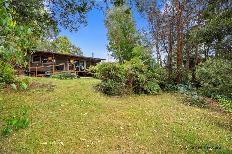 Photo - 6 Hull Road, Marysville VIC 3779 - Image 5