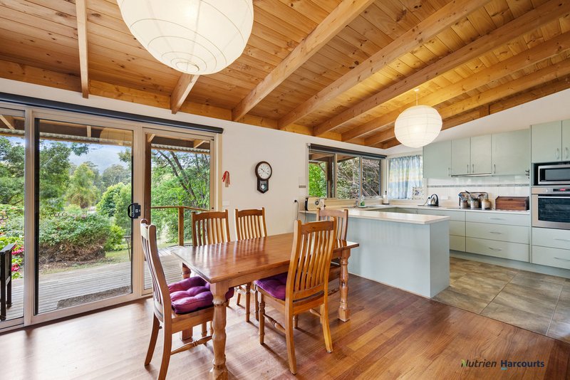 Photo - 6 Hull Road, Marysville VIC 3779 - Image 16