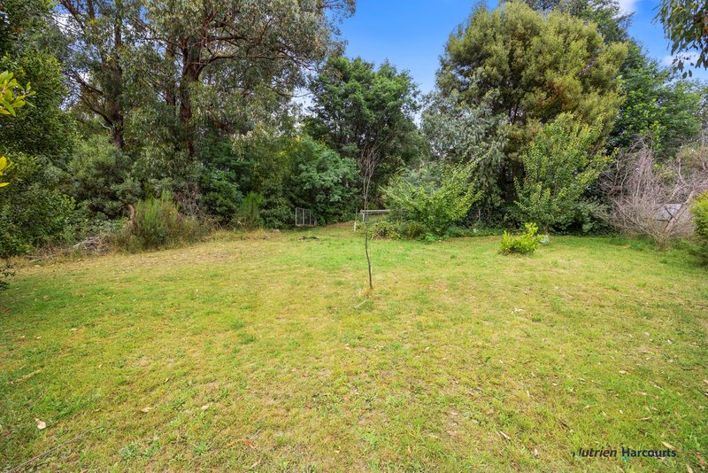 Photo - 6 Hull Road, Marysville VIC 3779 - Image 28