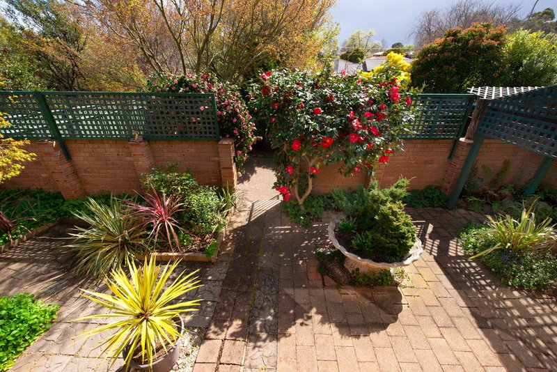 Photo - 6 Inglis Place, Latham ACT 2615 - Image 14