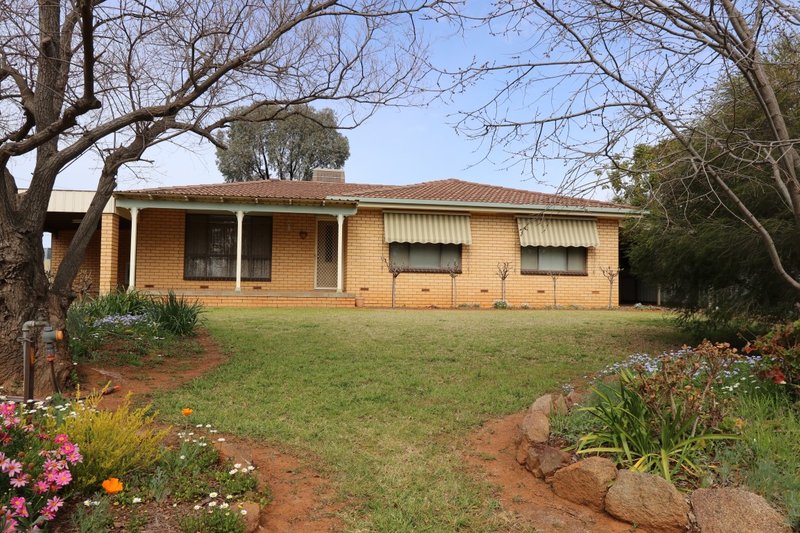 Photo - 6 Jacaranda Avenue, Coolamon NSW 2701 - Image 18