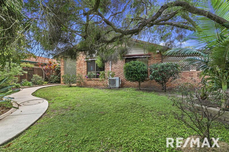 Photo - 6 Jacklin Close, Point Vernon QLD 4655 - Image 4