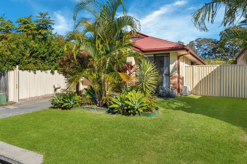 Photo - 6 Lamington Place, Loganholme QLD 4129 - Image 12