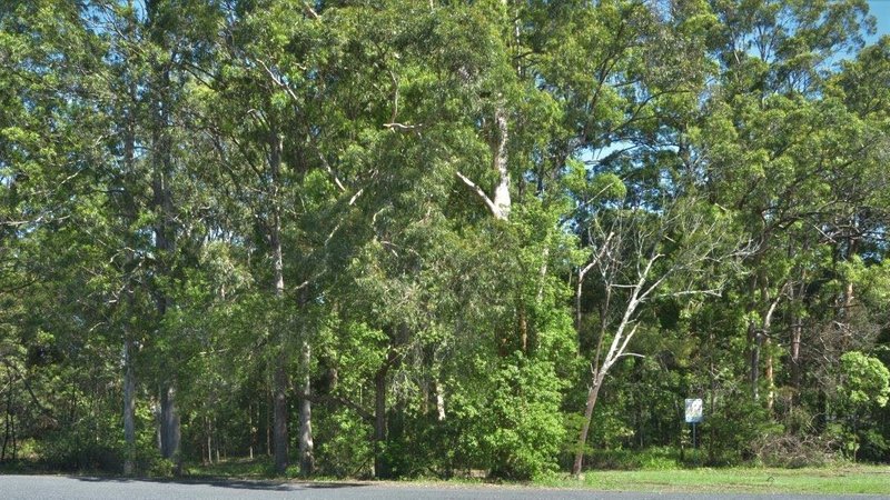 Photo - 6 Mahogany Way, Wauchope NSW 2446 - Image 5