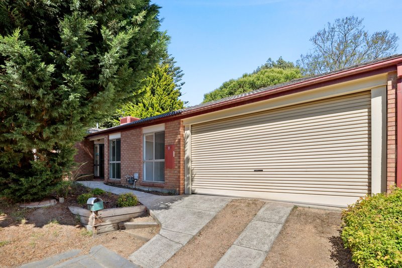 6 Manifold Court, Croydon South VIC 3136