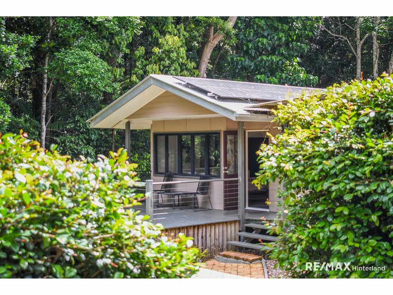 Photo - 6 Mary Cairncross Avenue, Maleny QLD 4552 - Image 19