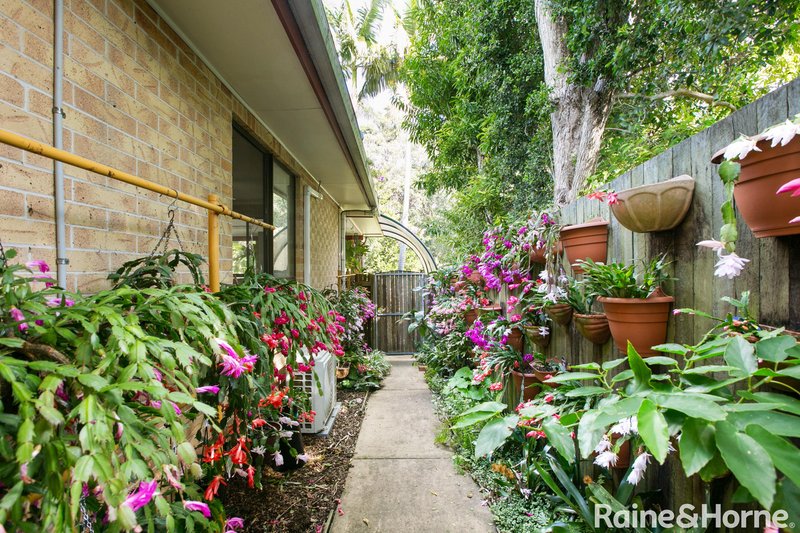 Photo - 6 Mary Street, Cooran QLD 4569 - Image 11