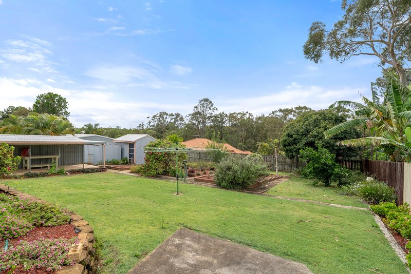 Photo - 6 Masjakin Court, Murrumba Downs QLD 4503 - Image 13