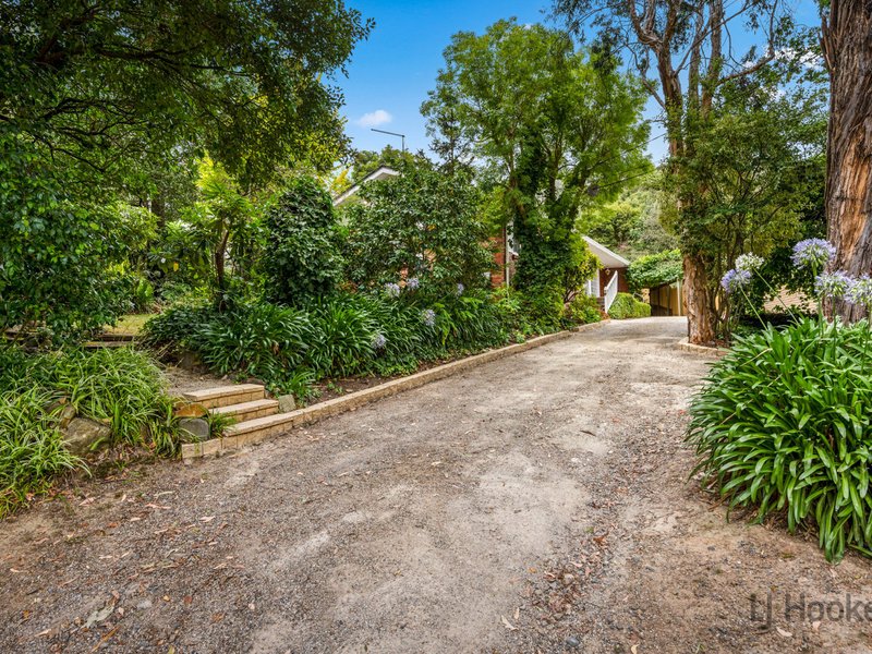 Photo - 6 Old Forest Road, The Basin VIC 3154 - Image 13