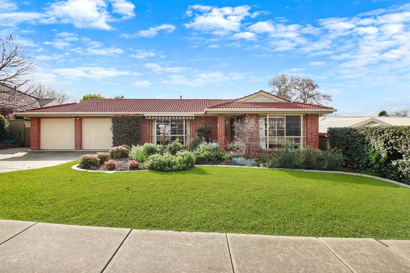 Photo - 6 Palm Drive, East Albury NSW 2640 - Image 1