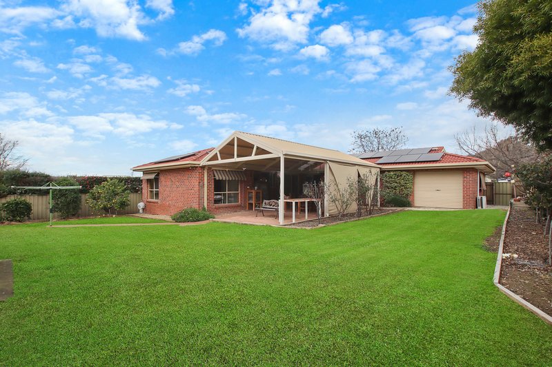 Photo - 6 Palm Drive, East Albury NSW 2640 - Image 16