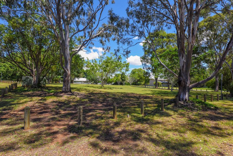 Photo - 6 Pamir Street, Nudgee QLD 4014 - Image 16