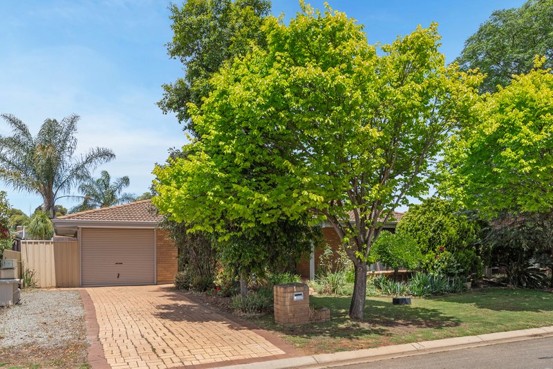 6 Pinicle Court, Andrews Farm SA 5114