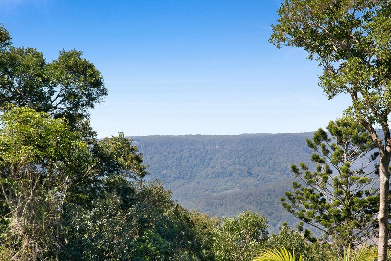 Photo - 6 Prunus Court, Beechmont QLD 4211 - Image 16