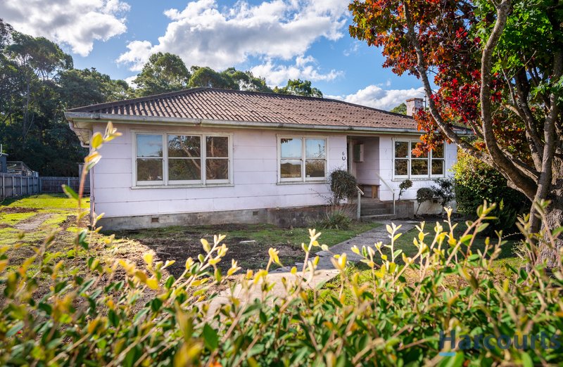 Photo - 6 Ramsay Road, Railton TAS 7305 - Image 5