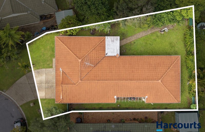 Photo - 6 Red Deer Court, Chermside West QLD 4032 - Image 19
