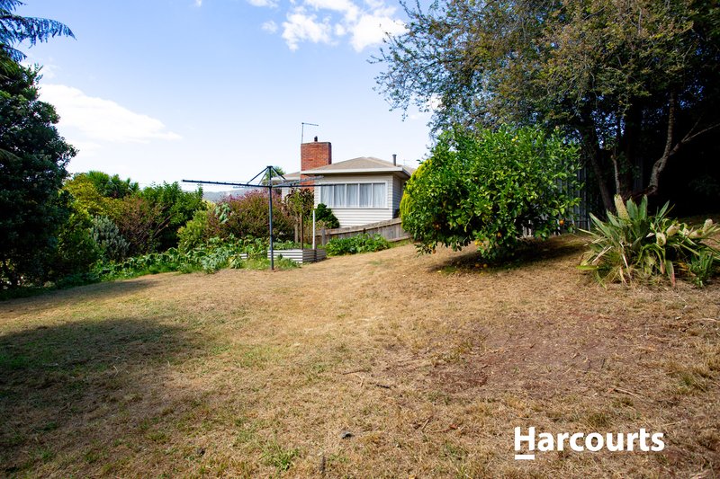 Photo - 6 Ringarooma Road, Scottsdale TAS 7260 - Image 19