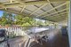 Photo - 6 River Gum Close, Fitzgibbon QLD 4018 - Image 8