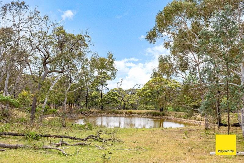 Photo - 6 Rocky Glen Road, Bungendore NSW 2621 - Image 8