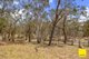 Photo - 6 Rocky Glen Road, Bungendore NSW 2621 - Image 14