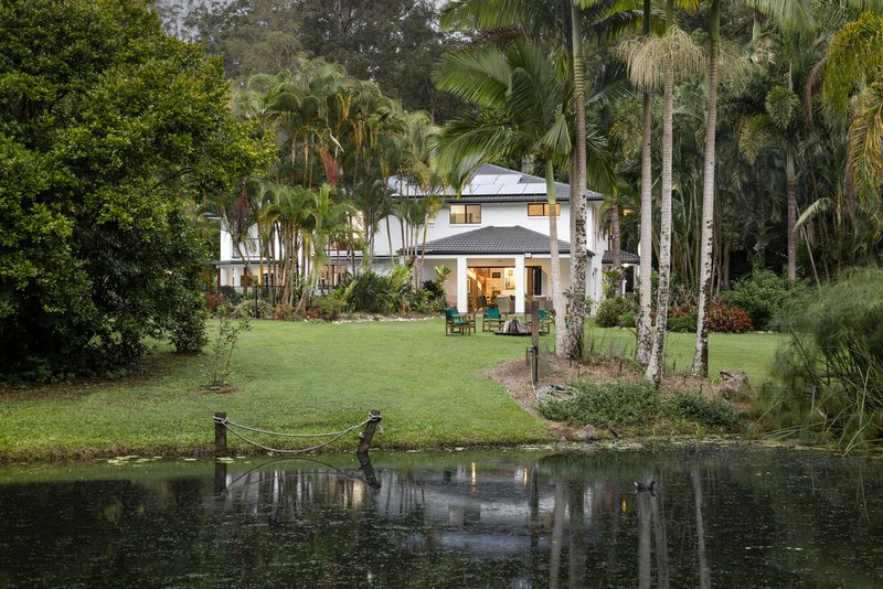 Photo - 6 Sawreys Road, Forest Glen QLD 4556 - Image 2
