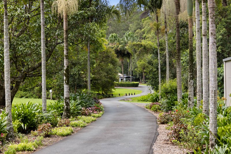 Photo - 6 Sawreys Road, Forest Glen QLD 4556 - Image 3