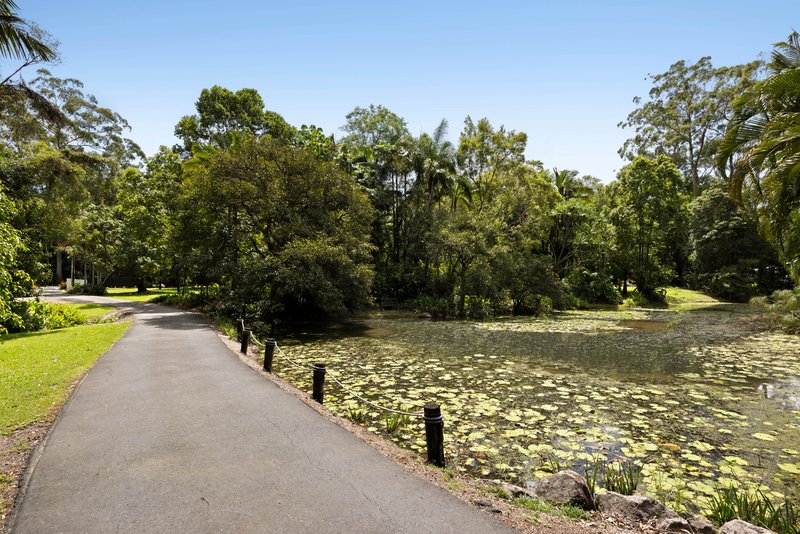 Photo - 6 Sawreys Road, Forest Glen QLD 4556 - Image 9