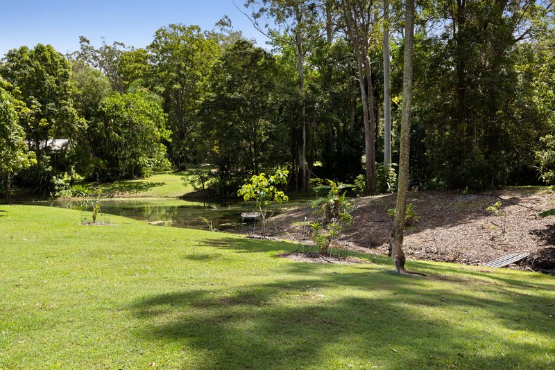 Photo - 6 Sawreys Road, Forest Glen QLD 4556 - Image 31