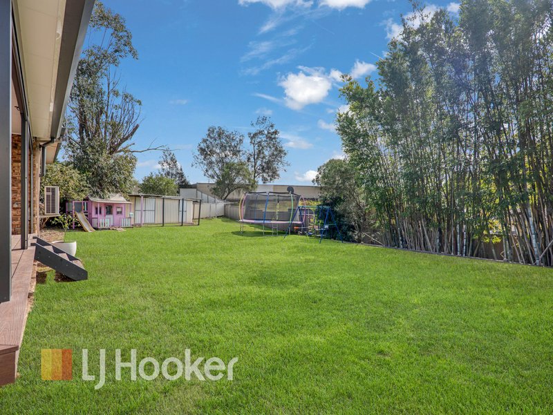 Photo - 6 Sever Close, Singleton NSW 2330 - Image 16