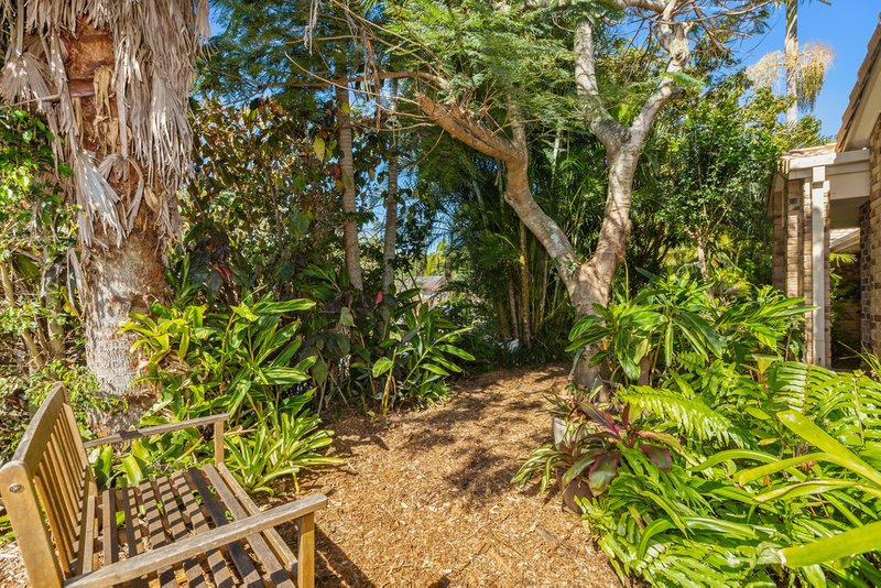 Photo - 6 Shamrock Avenue, Banora Point NSW 2486 - Image 13