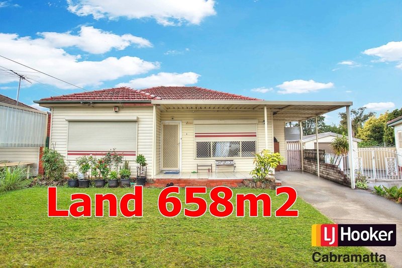 6 Smiths Avenue, Cabramatta NSW 2166