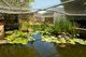 Photo - 6 South Street, North Dandalup WA 6207 - Image 13