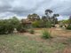 Photo - 6 Southwell St , Weetangera ACT 2614 - Image 3