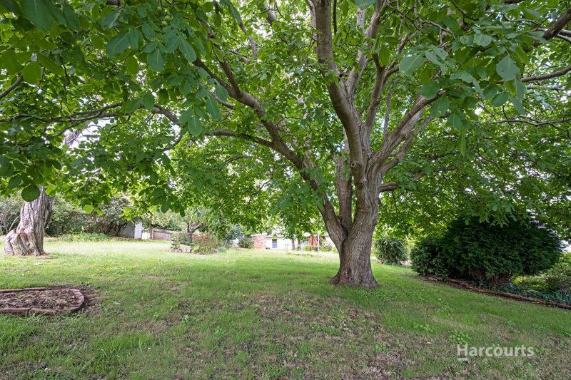 Photo - 6 Southwood Avenue, Penguin TAS 7316 - Image 12