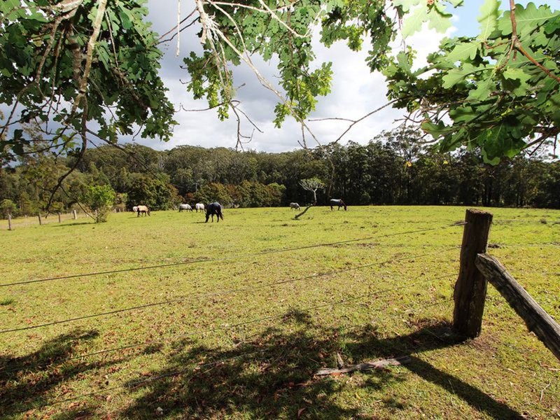 Photo - 6 Springhill Road, Coopernook NSW 2426 - Image 13