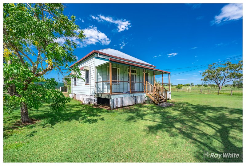 Photo - 6 Sullivan Road, Gracemere QLD 4702 - Image 18