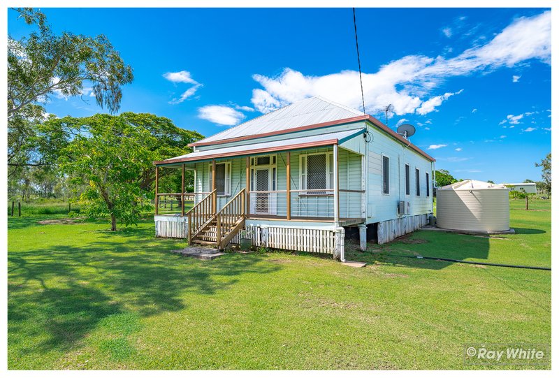 Photo - 6 Sullivan Road, Gracemere QLD 4702 - Image 19