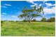 Photo - 6 Sullivan Road, Gracemere QLD 4702 - Image 32