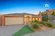 Photo - 6 Sundew Drive, Langwarrin VIC 3910 - Image 28