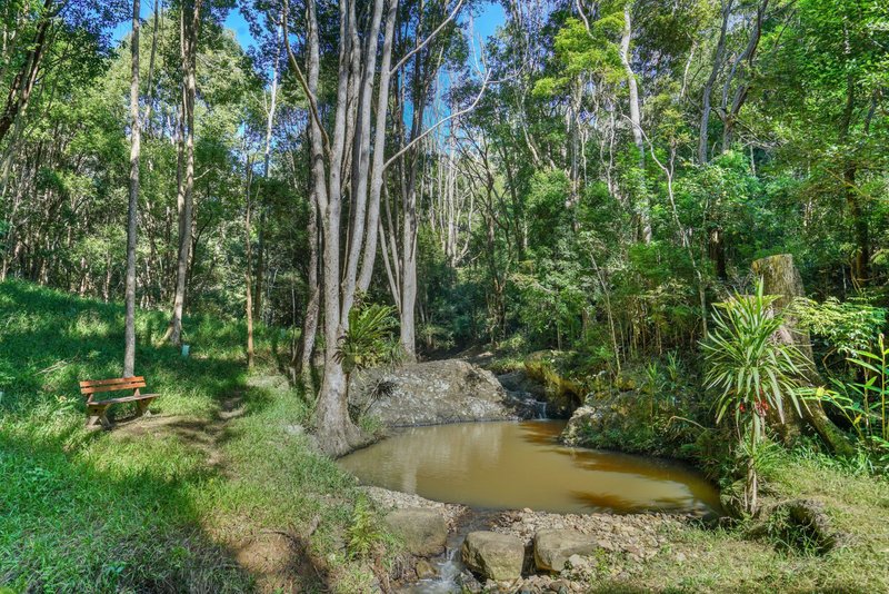 Photo - 6 Tallowood Terrace, Currumbin Valley QLD 4223 - Image 28