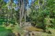 Photo - 6 Tallowood Terrace, Currumbin Valley QLD 4223 - Image 28