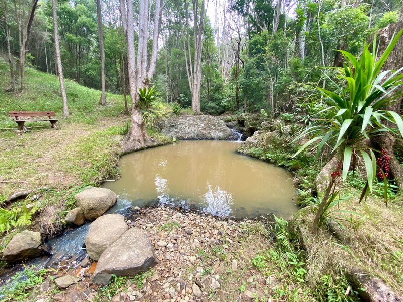 Photo - 6 Tallowood Terrace, Currumbin Valley QLD 4223 - Image 30