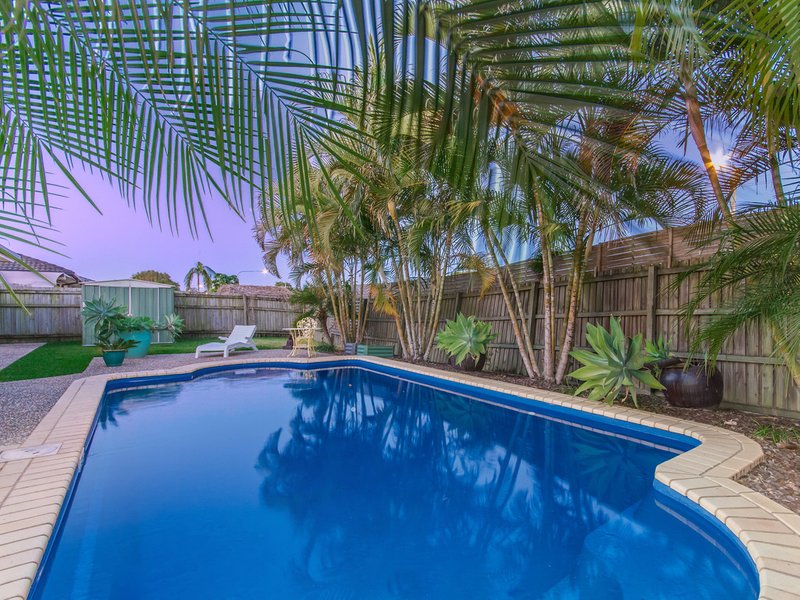 Photo - 6 Tandanus Court, Oxenford QLD 4210 - Image 18