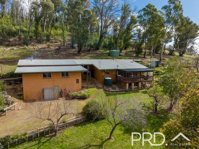 Photo - 6 Tasma Street, Batlow NSW 2730 - Image 25