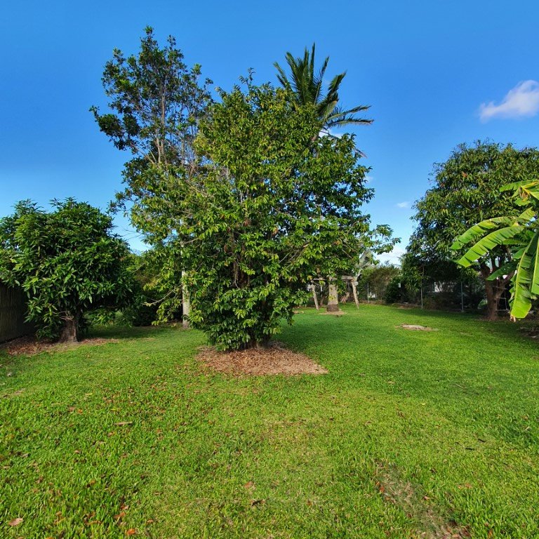 Photo - 6 Tass Street, Bakers Creek QLD 4740 - Image 3