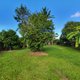 Photo - 6 Tass Street, Bakers Creek QLD 4740 - Image 3