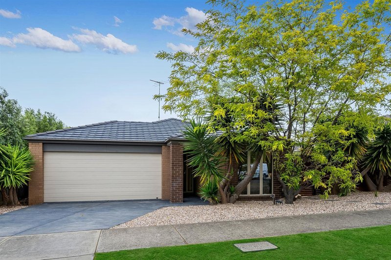 6 Thwaites Close, Highton VIC 3216