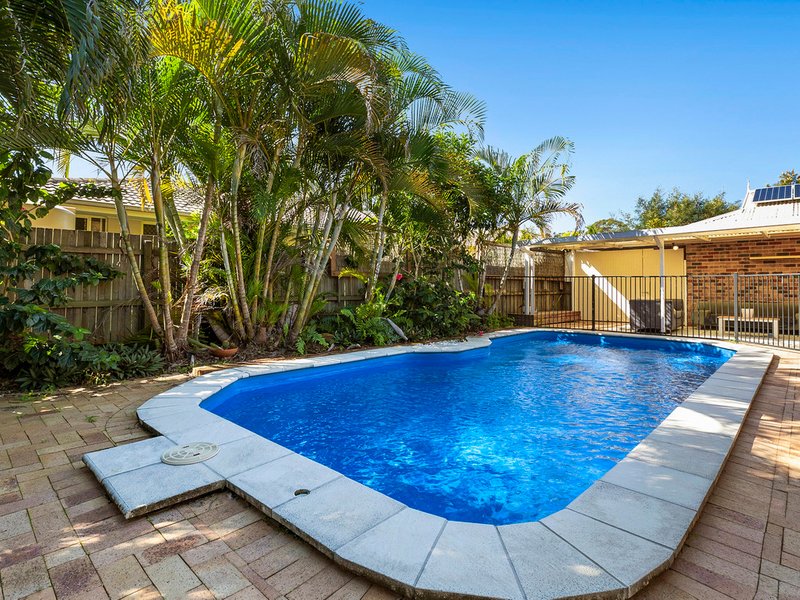 Photo - 6 Troon Court, Tewantin QLD 4565 - Image 3