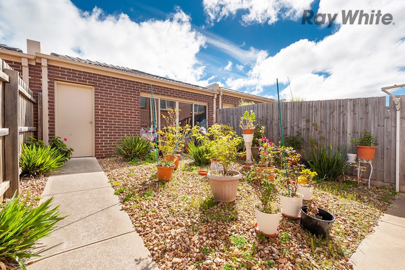 Photo - 6 Tute Lane, Melton West VIC 3337 - Image 7